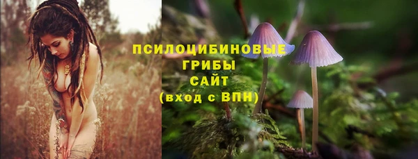 mix Аркадак