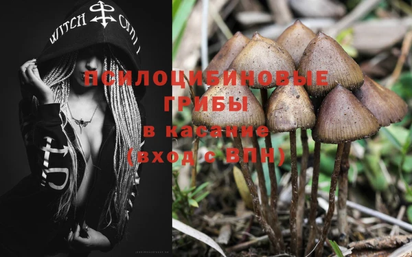 mix Аркадак