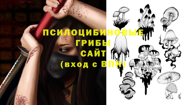 СК Арсеньев