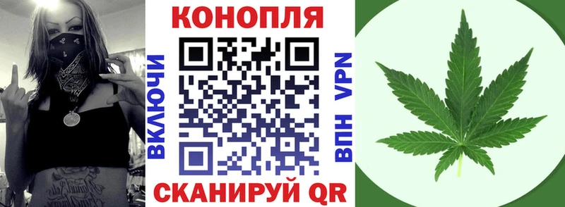 Бошки Шишки MAZAR Красноармейск
